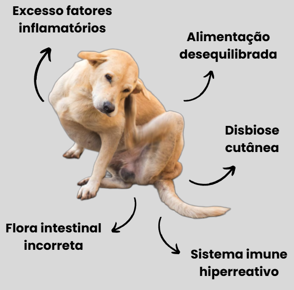 coceira, prurido, lambedura excessiva